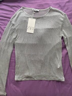 ZARA Silver Long Sleeve Knit Sheer Top